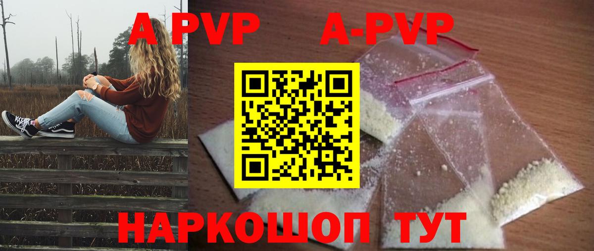 A PVP СК КРИС Печора