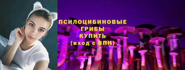 гашик Балахна