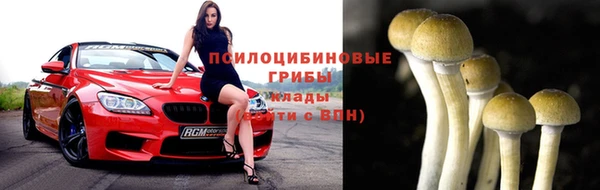 ГАЛЛЮЦИНОГЕННЫЕ ГРИБЫ Баксан