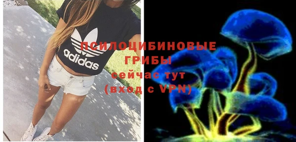 ГАЛЛЮЦИНОГЕННЫЕ ГРИБЫ Баксан