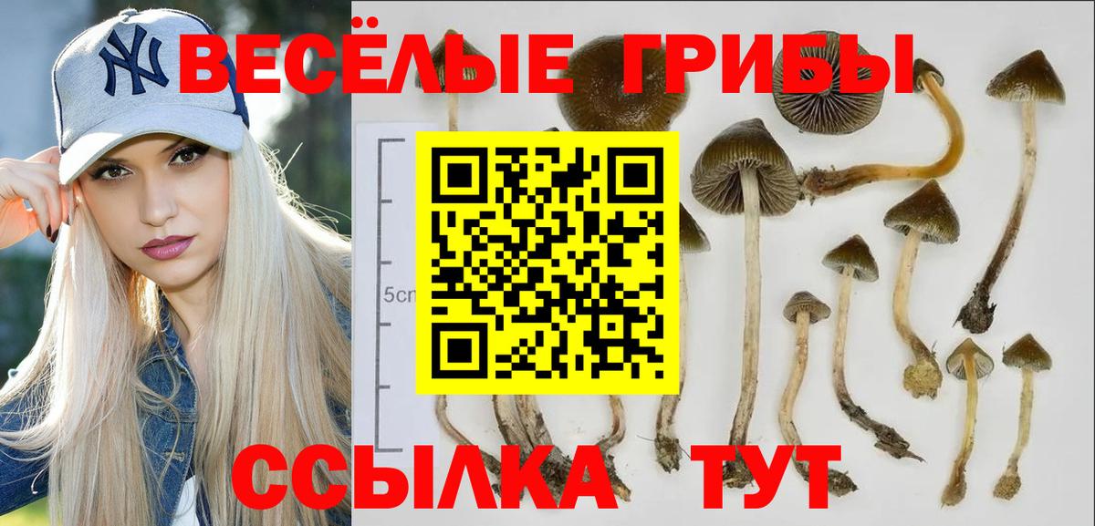ЭКСТАЗИ  Вход с VPN  Меф МЯУ МЯУ  LSD-25  Печора  Метадон  МЕФ кристаллы  ГАШИШ  Кокаин  Конопля  Где купить 