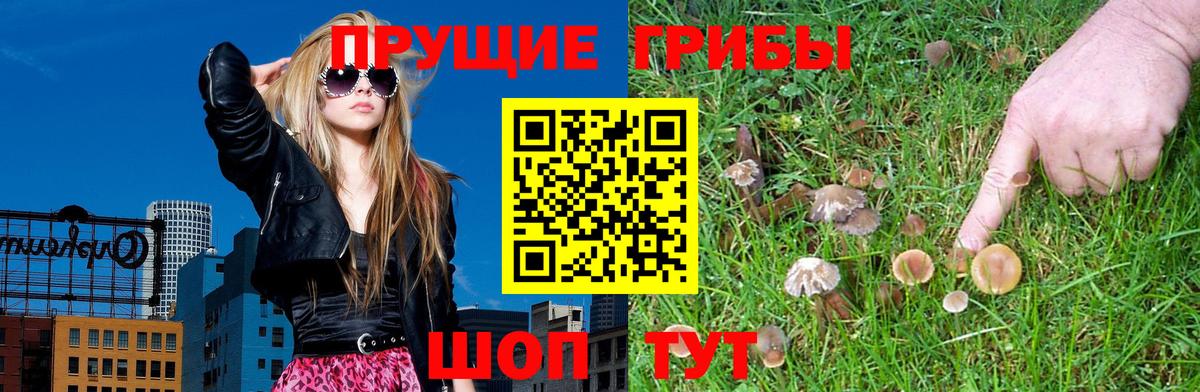 Псилоцибиновые грибы Cubensis  Псилоцибиновые грибы Cubensis  Печора  Вход с VPN 